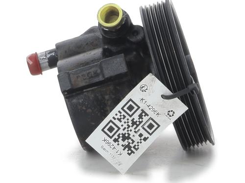Steering pump DACIA SANDERO 1.4 (BS0C, BS0A, BS0G, BS1F, BS0E) | BP30448916M99