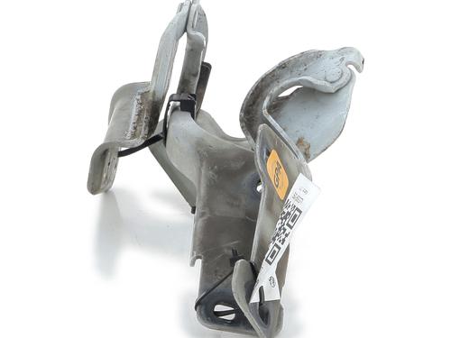 Hinge/Door check strap RENAULT CLIO III (BR0/1, CR0/1)  | BP27908684C146 