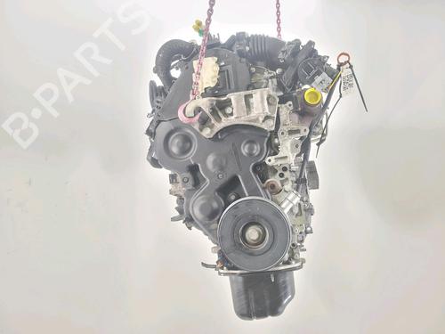 Used Engine FORD C-MAX (DM2) 1.6 TDCi (90 hp) 30165451
