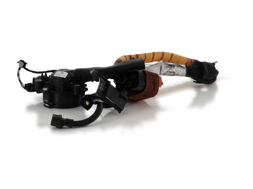 Kabel RENAULT ZOE (BFM_) ZOE (88 hp) 30048448