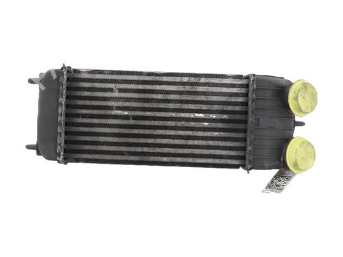 Used Intercooler CITROËN C3 II (SC_) 1.6 HDi 90 (90 hp) 31749669