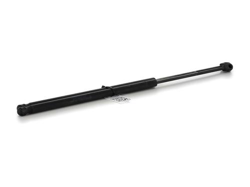 Tailgate lift support FORD FIESTA V (JH_, JD_) 1.4 TDCi | BP27908533C138 