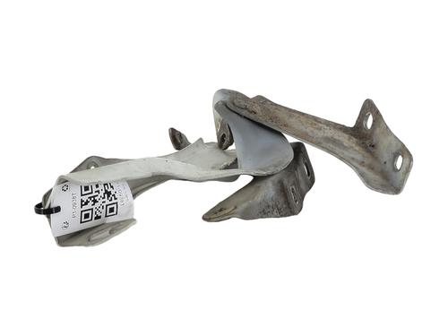 Hinge/Door check strap NISSAN MICRA IV (K13K, K13KK) 1.2 | BP29110590C146 