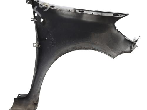 Left front fenders RENAULT CLIO III (BR0/1, CR0/1) 1.5 dCi (BR0H, CR0H, CR1S, BR1S) | BP29553005C41 