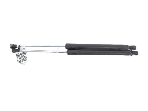 Tailgate lift support RENAULT CLIO III (BR0/1, CR0/1)  | BP27913870C138 