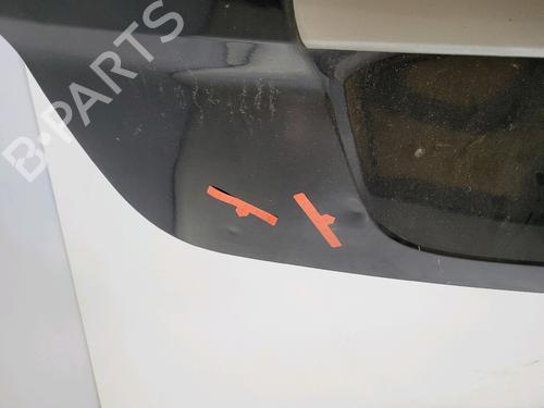 Tailgate RENAULT SCÉNIC III (JZ0/1_) 1.5 dCi | BP30918500C6 