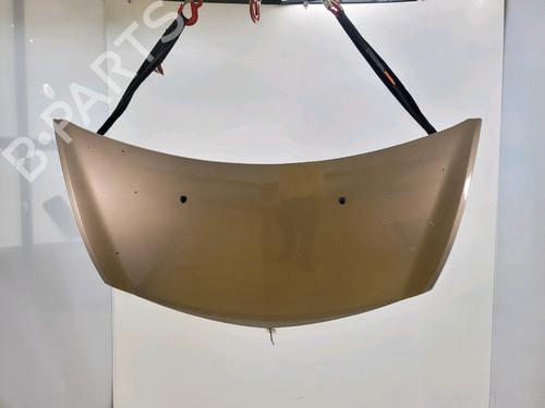 Used Hood RENAULT CLIO III (BR0/1, CR0/1) 1.2 16V (BR0P, CR0P) (101 hp) 28536647