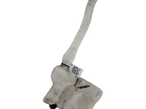 Windscreen washer tank RENAULT MASTER III Van (FV) 2.3 dCi 145 FWD (FV0E, FV0F, FV0H, FV02, FV0M, FV0S,... | BP29931769C113 