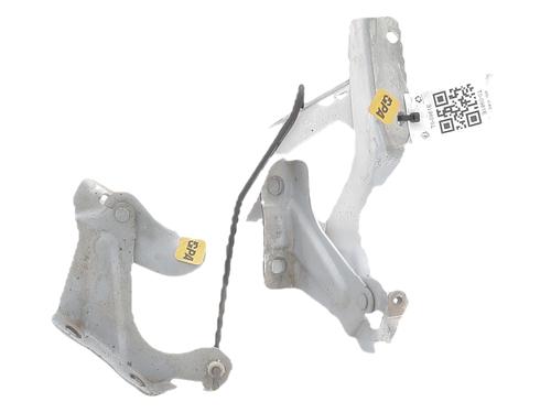 Used Hinge/Door check strap Hinge/Door check strap NISSAN MICRA IV (K13K, K13KK) 1.2 (80 hp) 40211845 40211845