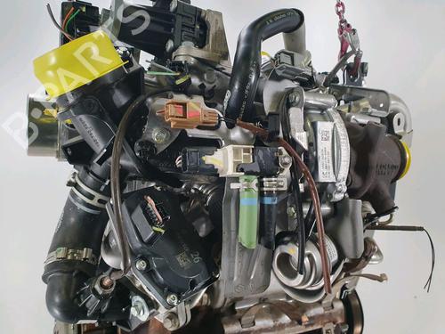 Engine RENAULT CAPTUR I (J5_, H5_) 1.5 dCi 90 (J5N4, J5M5, J5MW, J5M6, J5AL, J5AJ) | BP33973019M1  - Image 7