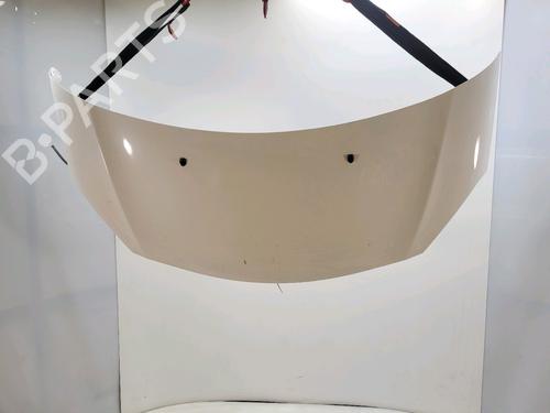 Used Hood CITROËN C3 II (SC_) 1.4 HDi 70 (SC8HZC, SC8HR0, SC8HP4) (68 hp) 29695942
