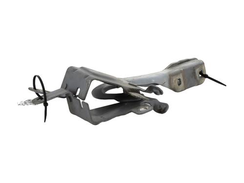 Hinge/Door check strap RENAULT CLIO IV (BH_) 1.5 dCi 75 | BP27913498C146 