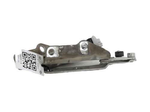 Hinge/Door check strap VW TRANSPORTER T5 Van (7HA, 7HH, 7EA, 7EH) 2.5 TDI | BP29623443C146 