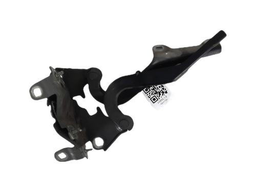 Used Hinge/Door check strap Hinge/Door check strap RENAULT LAGUNA III (BT0/1) 2.0 dCi (BT07, BT0J, BT14, BT1A, BT1S) (131 hp) 36691995 36691995