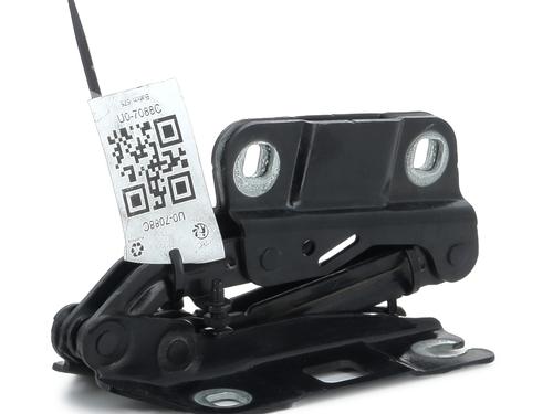 Hinge/Door check strap MERCEDES-BENZ M-CLASS (W164) ML 280 CDI 4-matic (164.120) | BP27906367C146 
