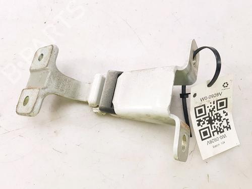 Hinge/Door check strap RENAULT KANGOO Express (FW0/1_) 1.5 dCi 110 (FW06, FW12) | BP27917490C146 