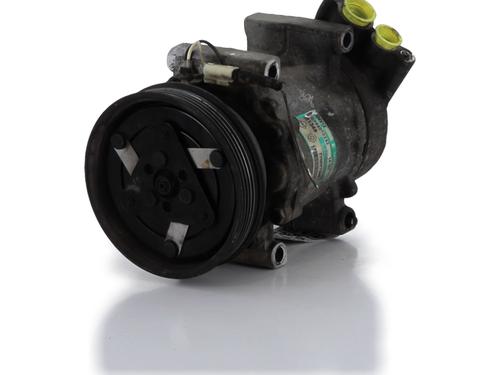 Airco pomp RENAULT CLIO II (BB_, CB_) 1.5 dCi (B/CB07) (65 hp) 29987601