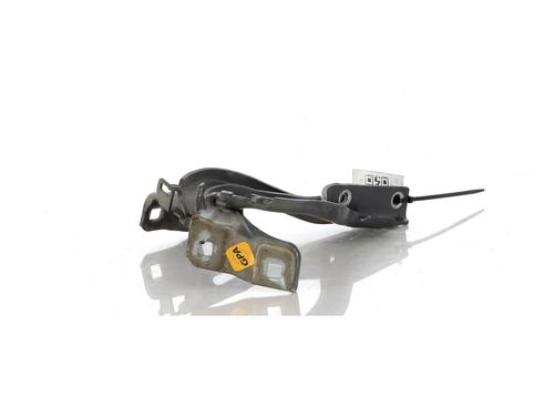 Hinge/Door check strap FIAT 500X (334_) 1.6 D Multijet (334AXA1B, 334AXA11) | BP27902714C146 