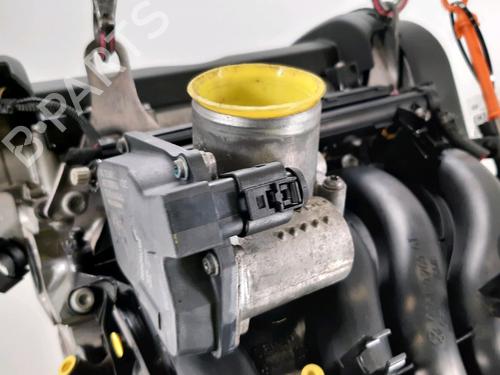 Engine VW GOLF PLUS V (5M1, 521) 1.4 16V | BP31032373M1 
