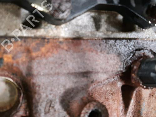 Engine RENAULT TWINGO II (CN0_) 1.2 16V (CN04, CN0B) | BP31937737M1