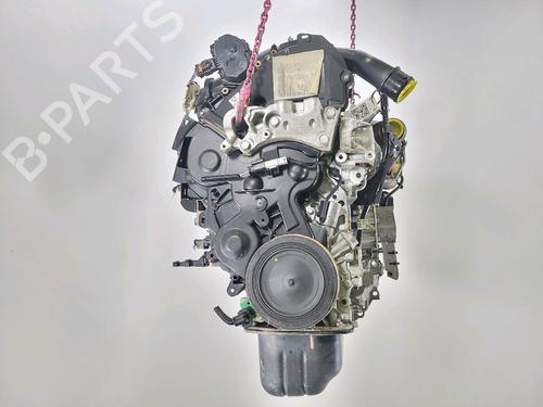 Moteur FORD FIESTA VI (CB1, CCN) 1.5 TDCi (75 hp) 28594731