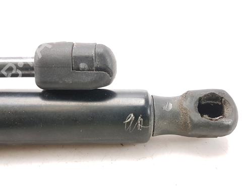 Tailgate lift support FORD B-MAX (JK) 1.0 EcoBoost | BP27916892C138 