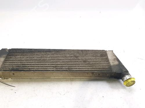 Intercooler RENAULT MEGANE II (BM0/1_, CM0/1_) 1.5 dCi (BM1E, CM1E) | BP29522183M30 