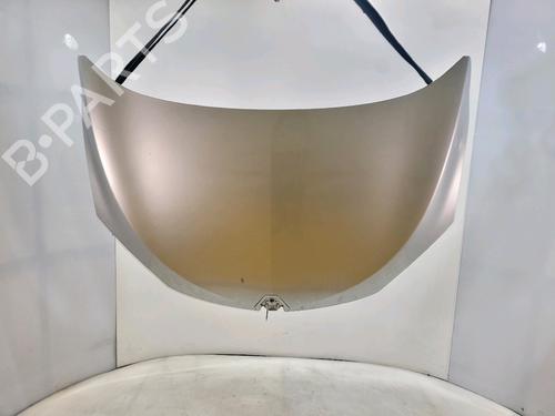 Used Hood RENAULT MEGANE III Hatchback (BZ0/1_, B3_) 2.0 TCe (BZ0K) (180 hp) 30334827