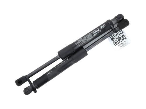 Used Hood lift support HYUNDAI SANTA FÉ III (DM, DMA) 2.2 CRDi 4WD (197 hp) 29849234