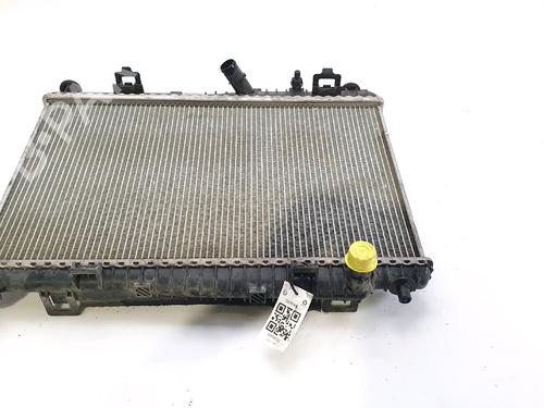 Used Water radiator FORD FIESTA VI (CB1, CCN) 1.25 (82 hp) 29696100