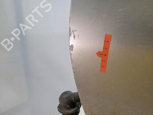 Left front door PEUGEOT 206 Hatchback (2A/C) 2.0 HDI 90 | BP26490071C2 
