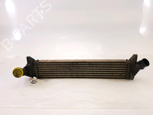 Intercooler DACIA SANDERO [2008-2025]  25621327