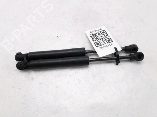 Used Hood lift support RENAULT ZOE (BFM_) ZOE (88 hp) 27916953