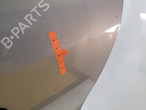 Left rear door CITROËN XSARA (N1)  | BP25590580C4 