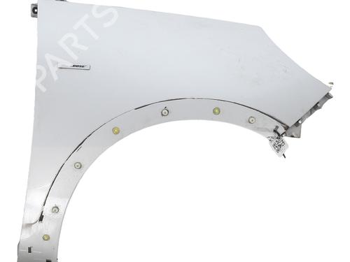 Used Right front fenders RENAULT SCÉNIC III (JZ0/1_) 1.5 dCi (110 hp) 24187167