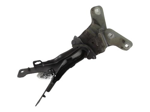 Used Hinge/Door check strap RENAULT CLIO III (BR0/1, CR0/1) 1.5 dCi (BR17, CR17) (86 hp) 27914968