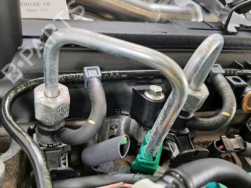 Engine RENAULT MODUS / GRAND MODUS (F/JP0_) 1.5 dCi (FP0F, JP0F) | BP30957489M1