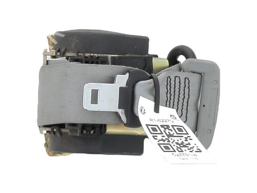 Used Rear right belt tensioner RENAULT MEGANE Scenic (JA0/1_) 1.6 16V (JA0B, JA04, JA11, JA00) (107 hp) 31079619