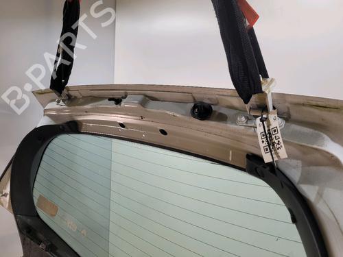 Tailgate RENAULT CLIO III (BR0/1, CR0/1) 1.5 dCi (BR17, CR17) | BP29819990C6