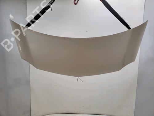 Used Hood RENAULT KANGOO Express (FW0/1_) 1.5 dCi 75 (FW07, FW10, FW04) (75 hp) 32040364