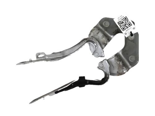 hingedoor-check-strap-renault-clio-iii-br01-cr01-2005-2006-2007-2008-2009-2010-2011-2012-2013-2014-32401492 main image