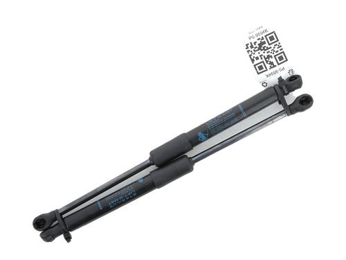 Gasdemper motorkap RENAULT AUSTRAL E-TECH 200 Hybrid (HGM2) (199 hp) 30918416