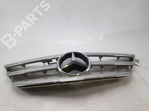 front-grille-mercedes-benz-b-class-sports-tourer-w245-b-200-cdi-245208-1698802183-2005-2006-2007-2008-2009-2010-2011-10431171 main image
