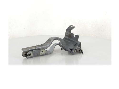 Hinge/Door check strap RENAULT CLIO IV (BH_) 1.2 TCe 120 (BHM0) | BP27914525C146 