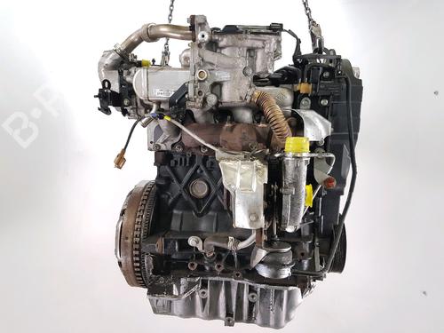 Engine RENAULT SCÉNIC III (JZ0/1_) 1.9 dCi (JZ0J, JZ1J, JZ1K, JZ1S) | BP33532979M1 - Image 4