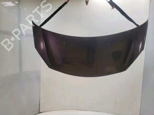 hood-citroen-ds3-sa_-2009-2010-2011-2012-2013-2014-2015-2016-40619344 main image