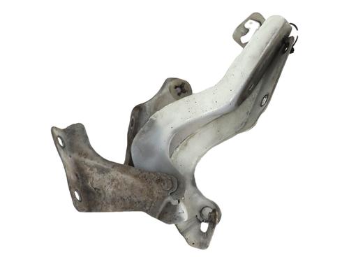 Used Hinge/Door check strap NISSAN MICRA IV (K13K, K13KK) 1.2 (80 hp) 29110590