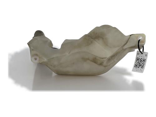 Used Windscreen washer tank RENAULT MASTER II Platform/Chassis (ED/HD/UD) 3.0 dCi 140 (ED0S, UD0S, HD0S) (136 hp) 30140404