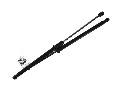 Used Tailgate lift support FORD FIESTA VI (CB1, CCN) 1.25 (82 hp) 28686949
