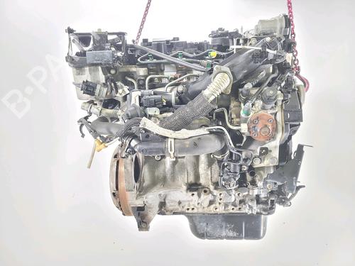 Motor FORD FIESTA VI (CB1, CCN) 1.4 TDCi | BP30449655M1